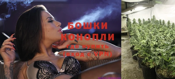 гидра Медногорск