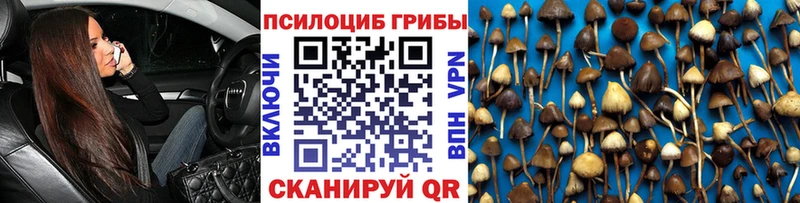 Купить закладки Новотитаровская Псилоцибиновые грибы GOLDEN TEACHER